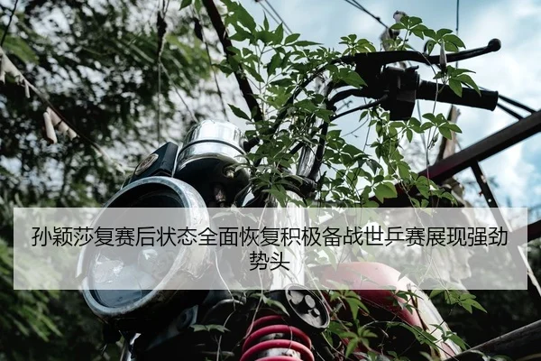 孙颖莎复赛后状态全面恢复积极备战世乒赛展现强劲势头（FEIFAN SPORTS）